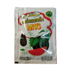 M16 Watermelon Seed Snack 40g