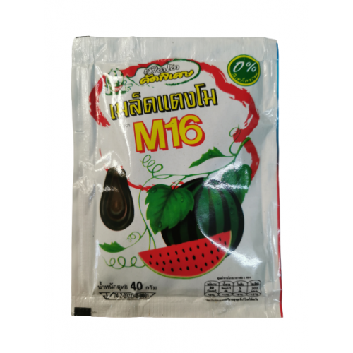 M16 Watermelon Seed Snack 40g