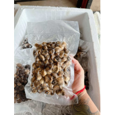 BOILED BAROMETER EARTHSTARS MUSHROOM 500G 