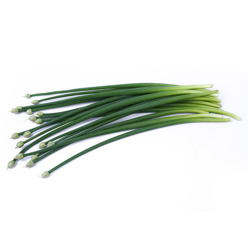 Spring Onion Flower 200g