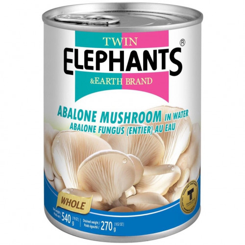 Twin Elephants - Abalone Mushroom In Brine 540g