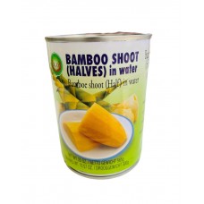 XO - Bamboo Shoot (Half) IN WATER 565g