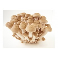 Shimeji Brown Mushroom 125G