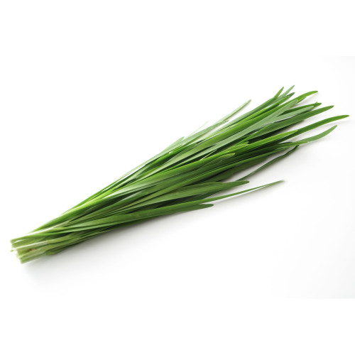Chive Leaf 100g