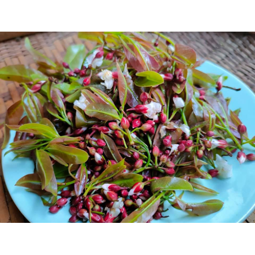 Phak Tiu (Pak Tew)  100g